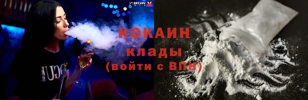 гидропоника Богданович